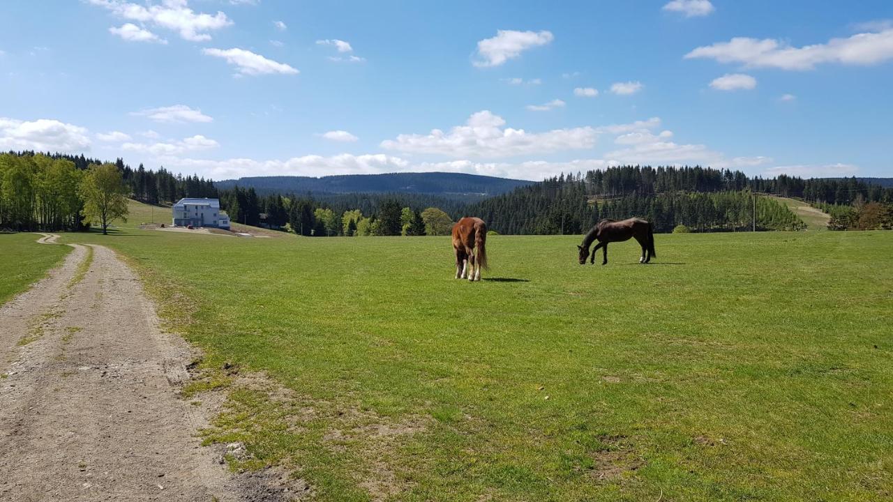 Apartmany Stran Potucky Exteriör bild